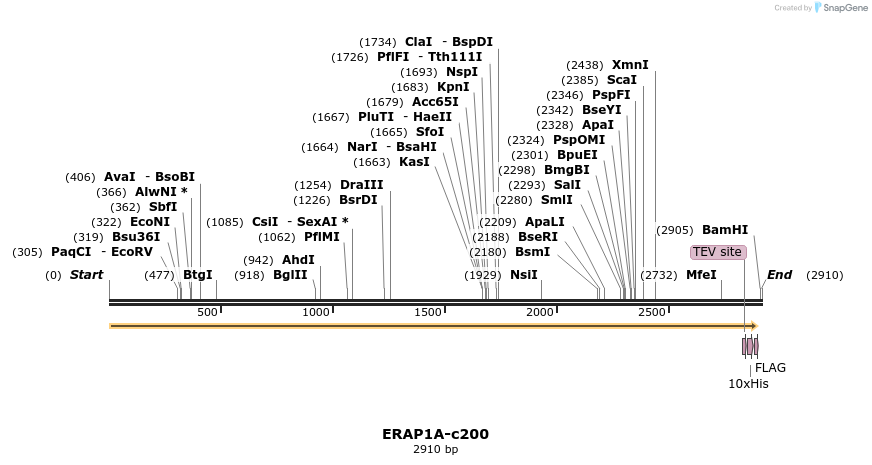 83802_map