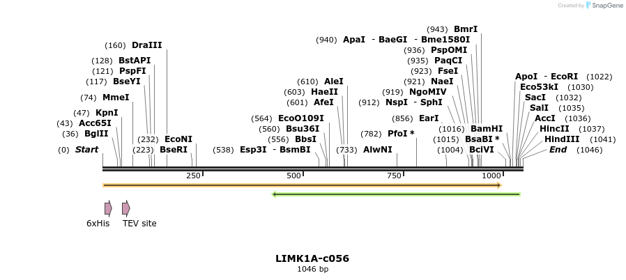 83804_map