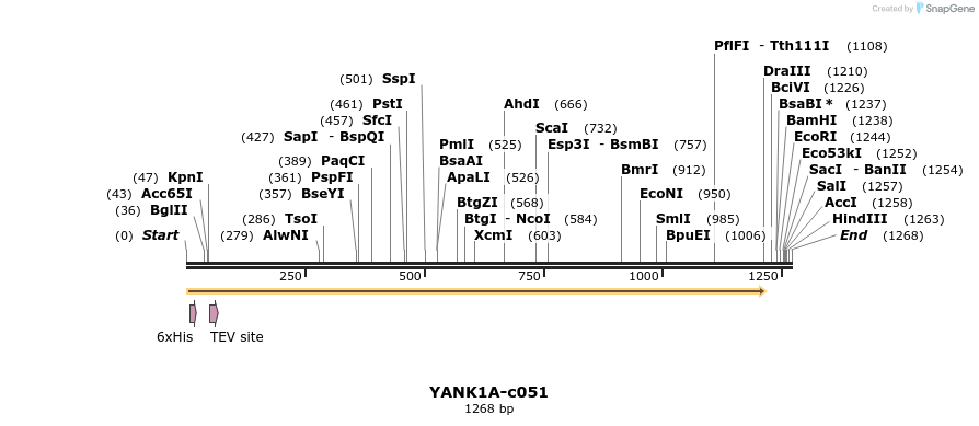 83807_map