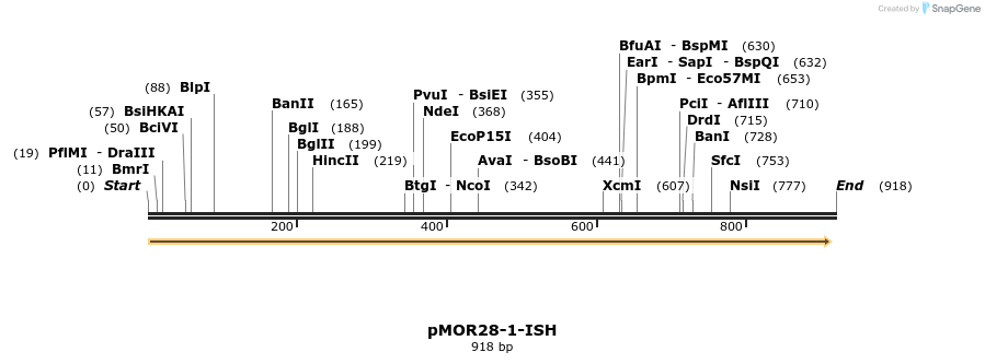 8381_map