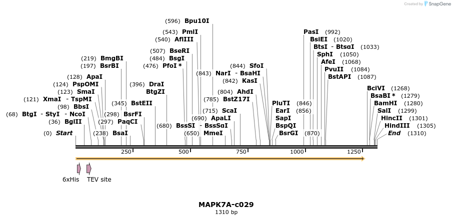 83810_map