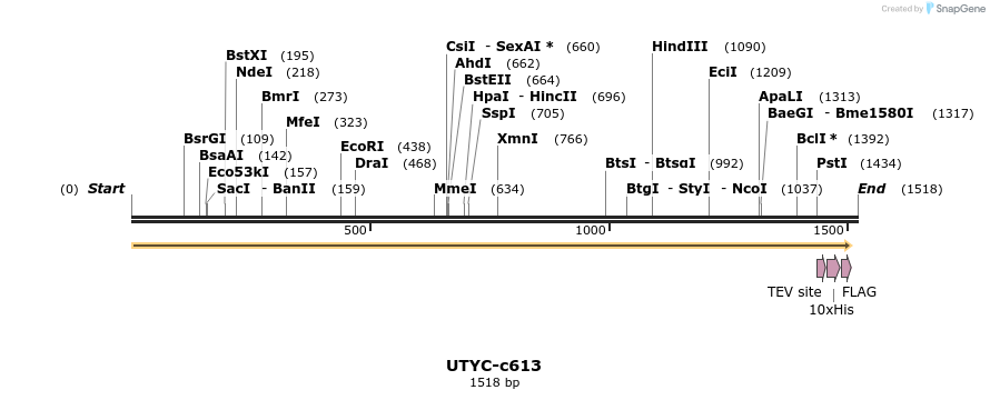 83812_map