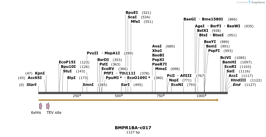 83817_map