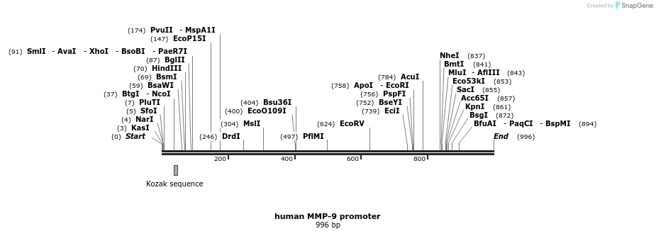 83819_map