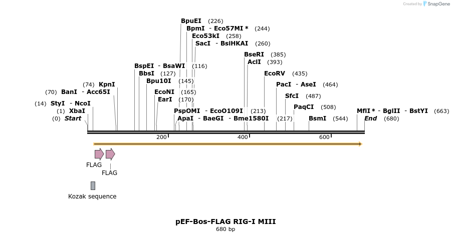 83828_map