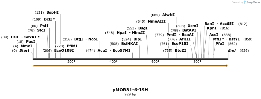 8383_map