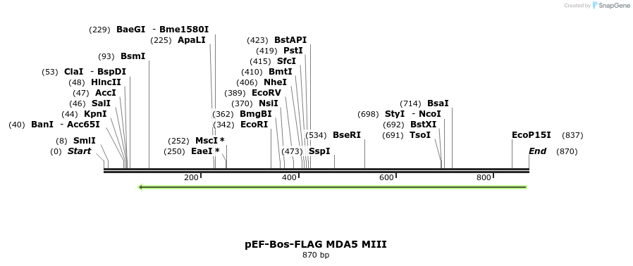 83830_map