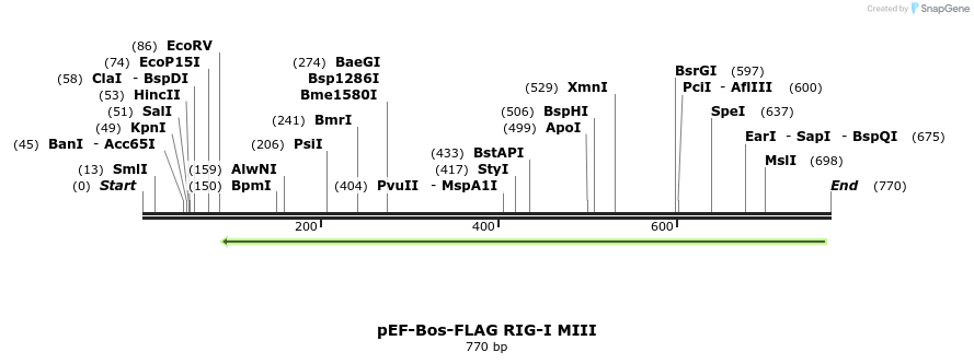 83832_map