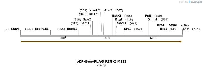 83833_map