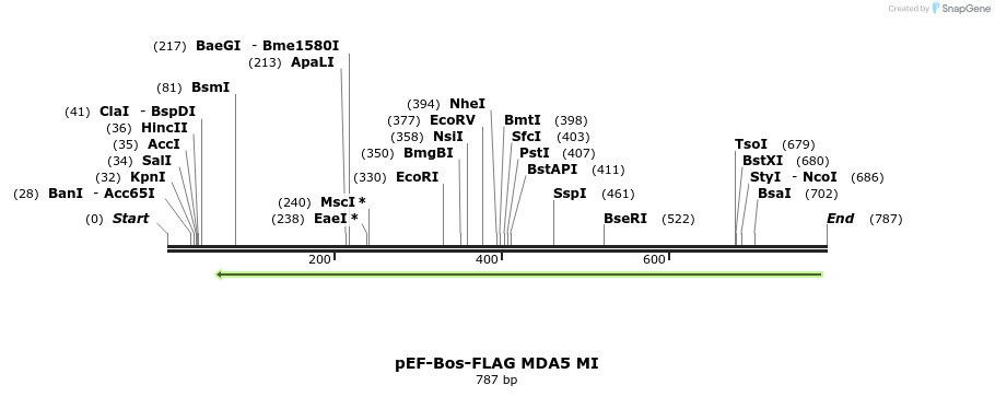 83834_map