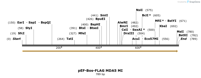 83835_map