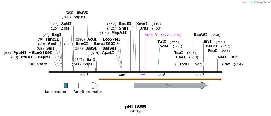 83841_map