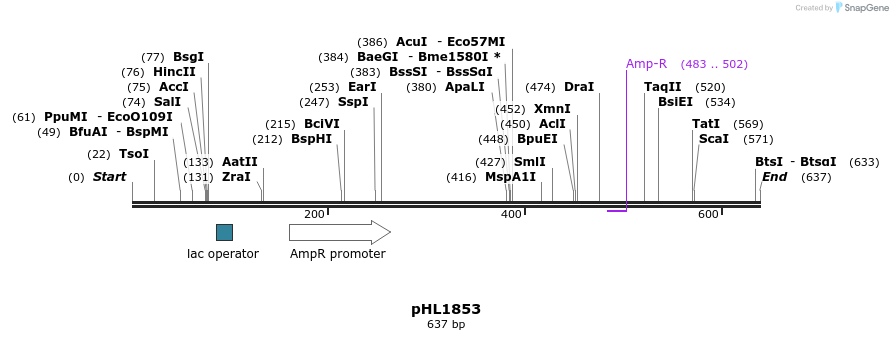 83843_map