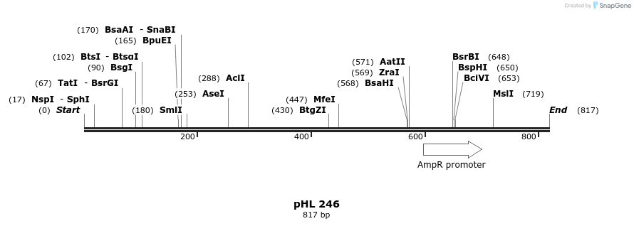 83847_map