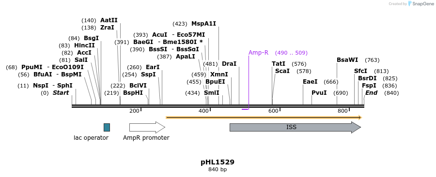 83851_map