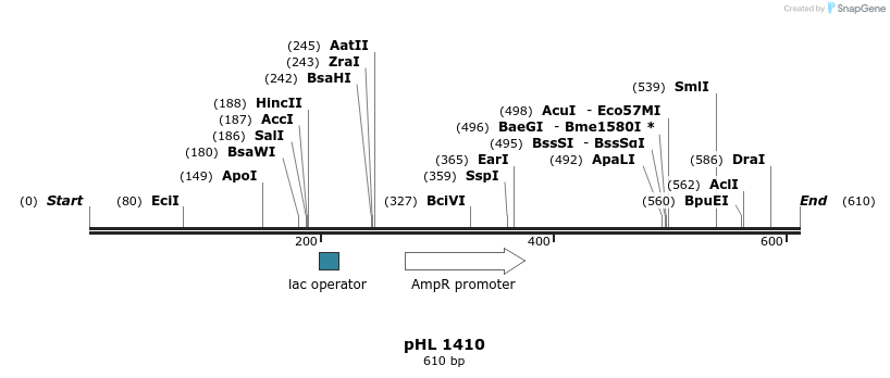 83856_map