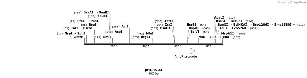 83857_map