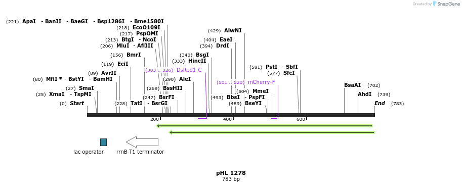 83860_map