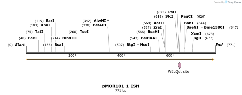 8387_map