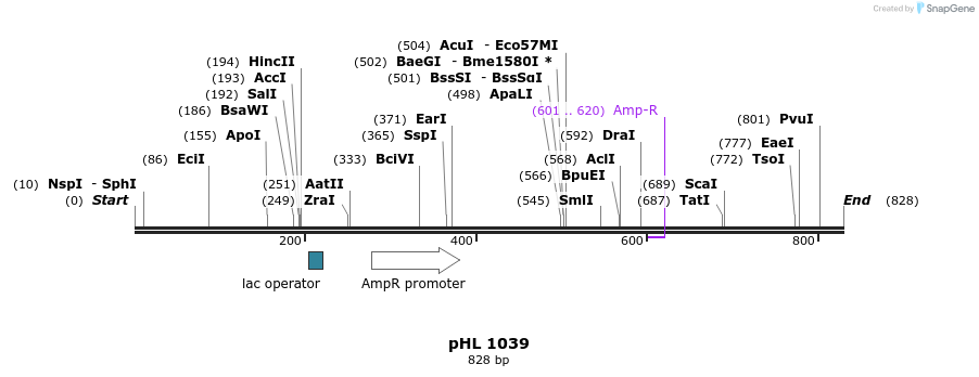 83870_map