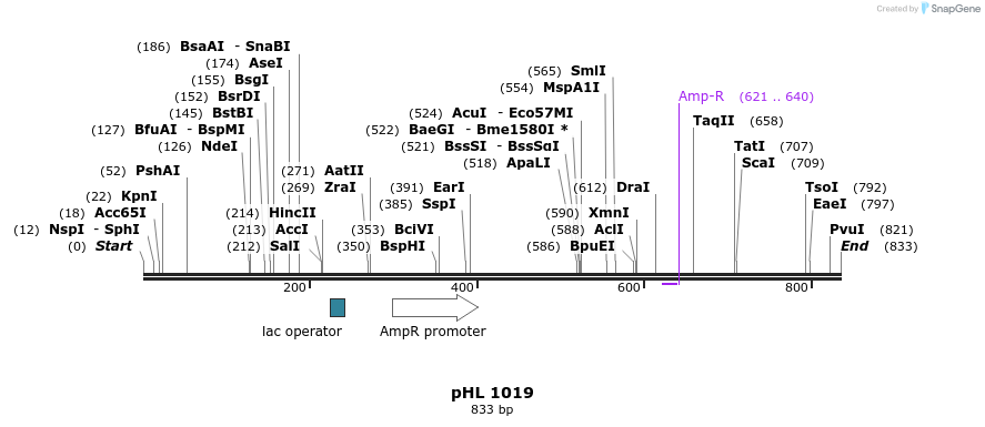83871_map