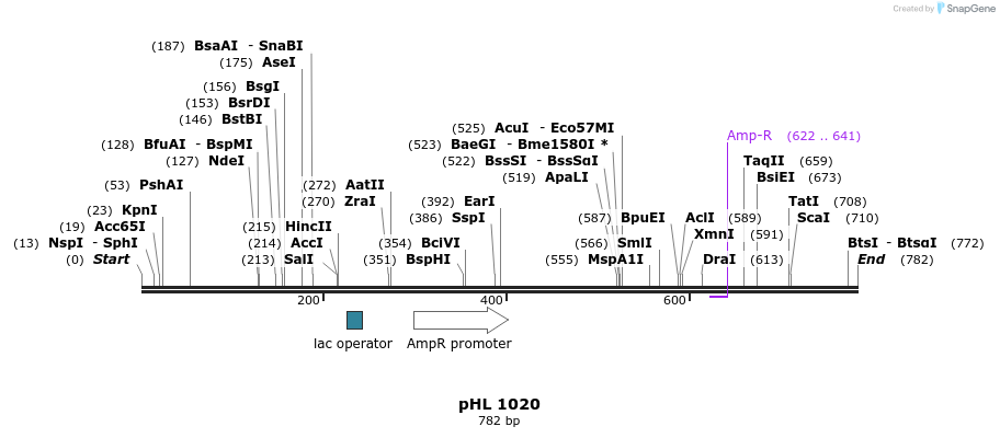 83872_map