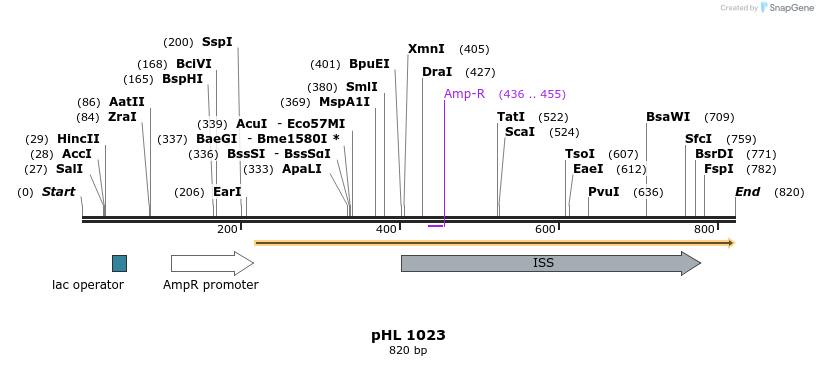 83873_map