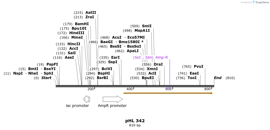 83874_map