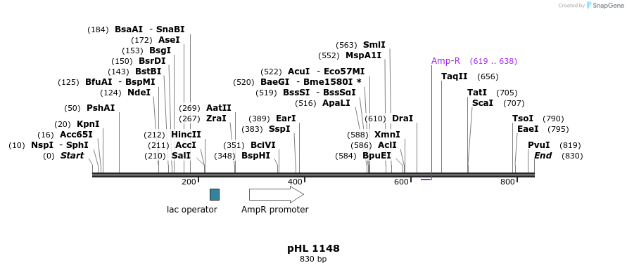 83875_map