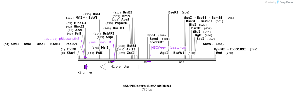 83876_map