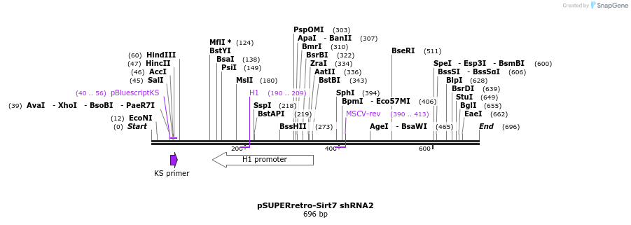 83877_map