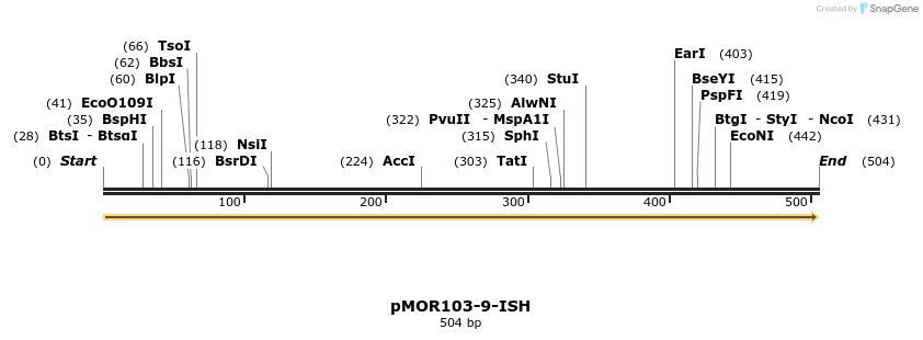 8388_map