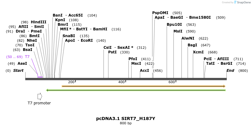 83881_map