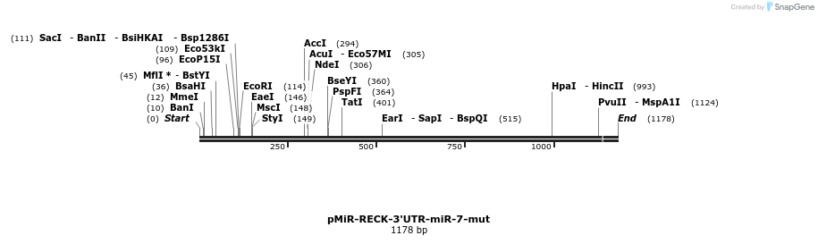 83883_map