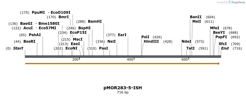 8389_map
