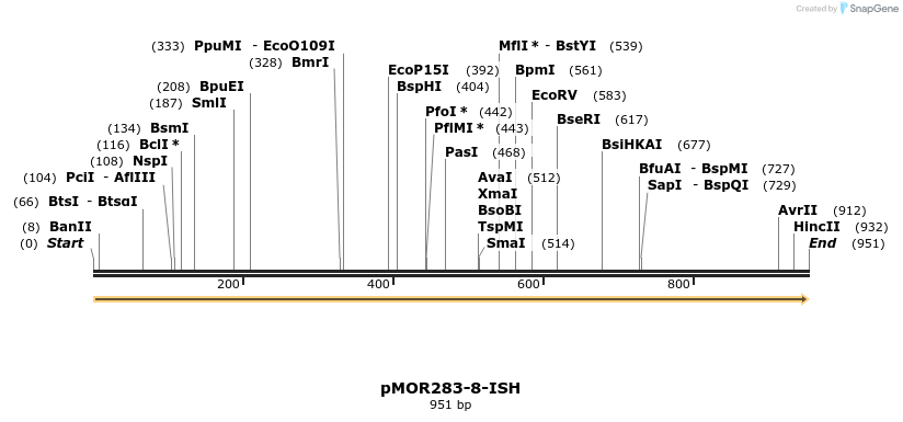 8390_map