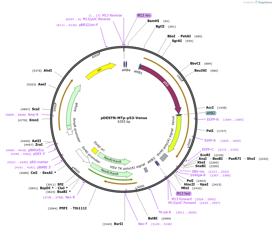 83915_map