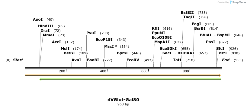 83923_map