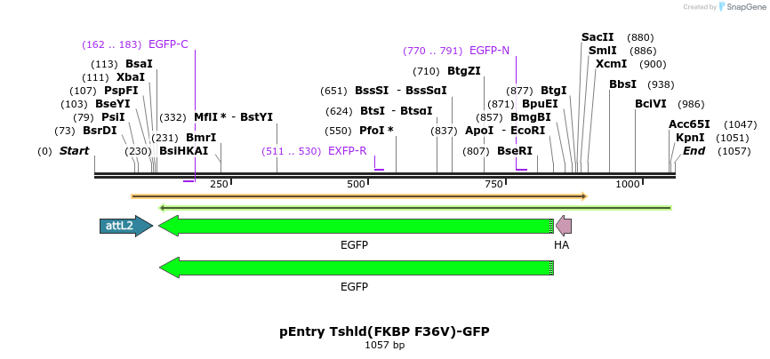 83941_map