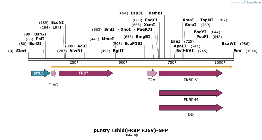 83942_map