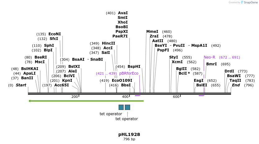 83946_map