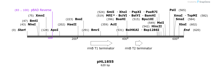 83948_map