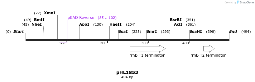 83949_map