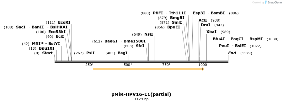83968_map