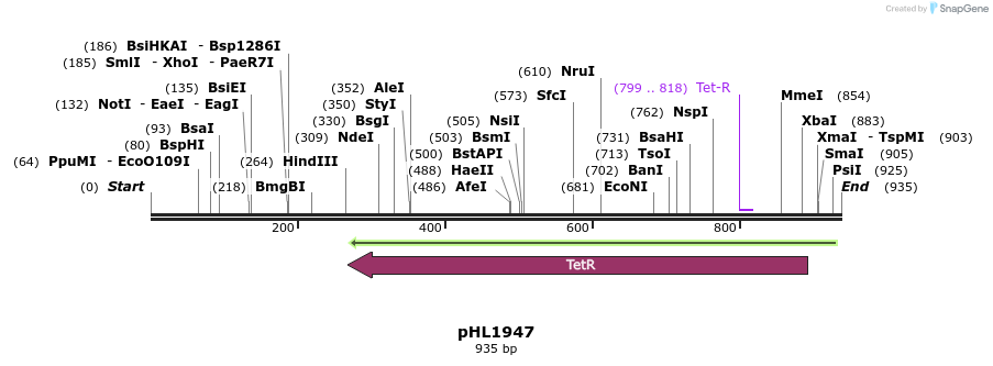 83976_map