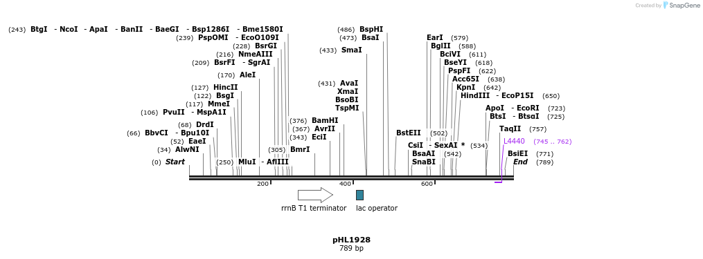 83979_map