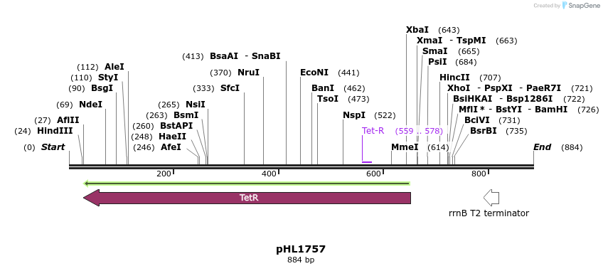83993_map