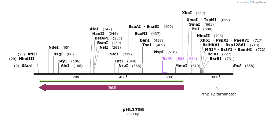 83994_map