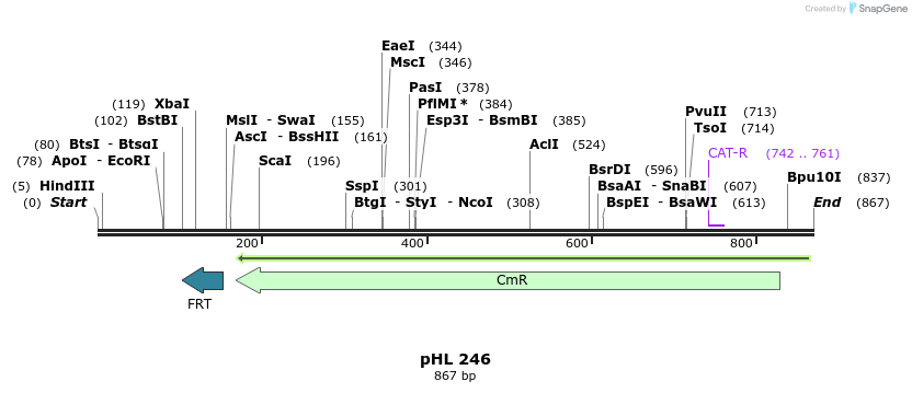 83998_map