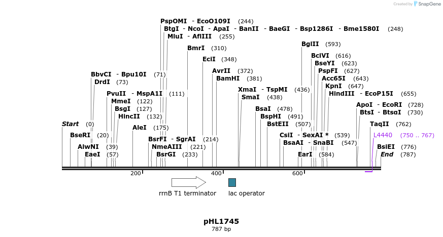 84002_map